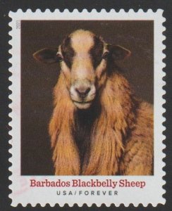 SC# 5592 - (55c) - Heritage Breeds Blackbelly Sheep - 10/10 - Used Single