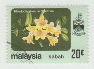 37 Rhododendron - Sabah