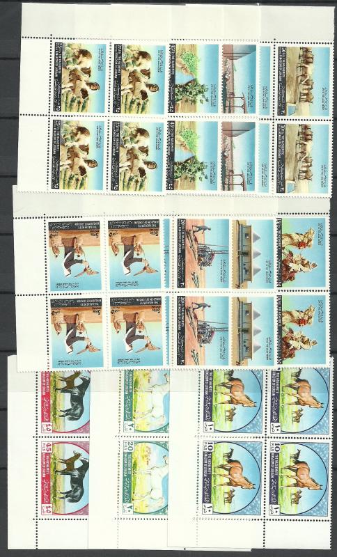 SHH Jordan  huage sets block / 4  all MNH as scans