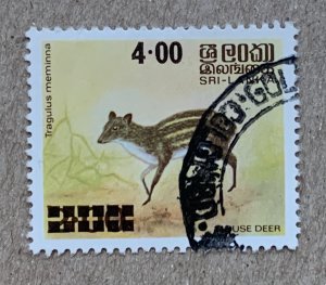 Sri Lanka 1981 4r on 2r Mouse Deer surcharge, used.  Scott 596, CV $0.45. SG 720