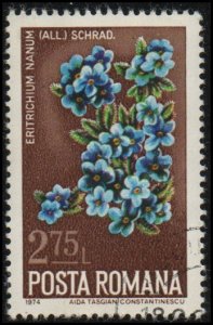 Romania 2517 - Cto - 2.75L Forget-Me-Not Flower (1974)