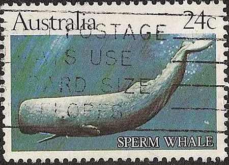 Austrailia - 821 - Used - SCV-0.50