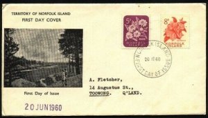 NORFOLK IS 1960 5d & 8d on commem FDC......................................95783