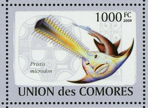 Fish Stamp Latimeria Chalumnae Scorpaena Scrofa Lophius Americanus S/S MNH #2107 