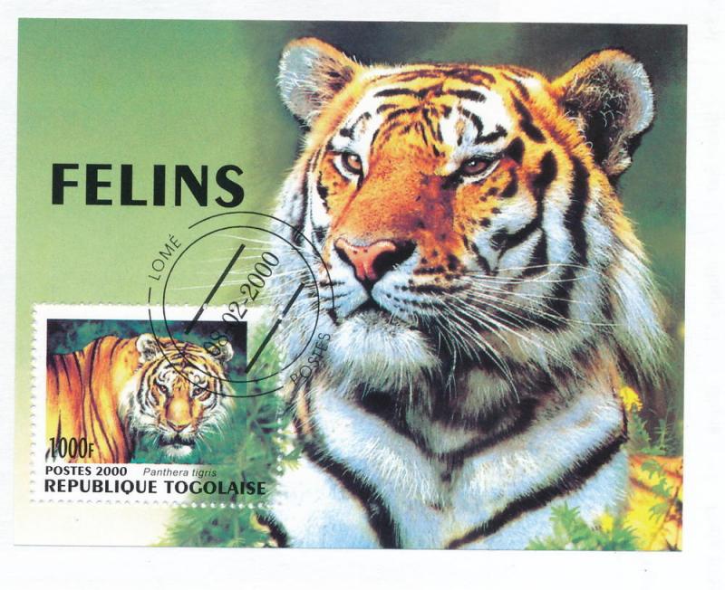 Togo 2000 Scott 1925 sheet of 1 CTO - panthera tigris, Tiger