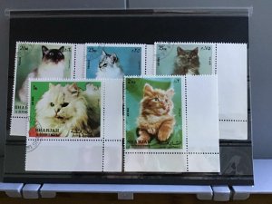 Sharjah Cats stamps R25428