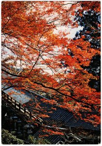 Japan 1983 Postcard with 15y & 60y (see descr.)