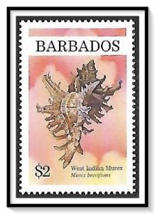Barbados #939 Sea Shells MHR