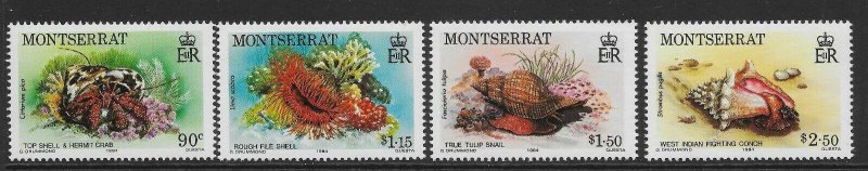 MONTSERRAT SG620/3 1984 MARINE LIFE SET MNH