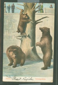 Switzerland  1907 Thematic - Bears. Used from Bern