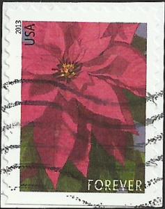 # 4816 USED POINSETTIA