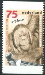 Netherlands Sc# B640 MNH