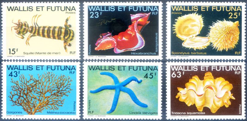 1979 Marine Flora and Fauna.