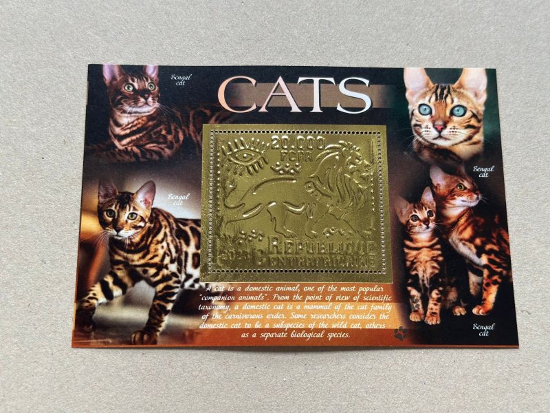 Stamps. Fauna. Cats  2023 year 6 blocks Foil. Gold perforated  NEW MNH**