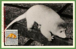 32244 - Papua and New Guinea - MAXIMUM CARD - Wildlife, ANIMALS-