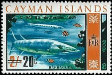 CAYMAN ISLANDS   #238 MNH (1)