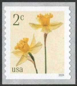 SC#5903 2¢ Daffodils Coil Single (2024) SA