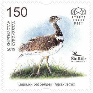 KYRGYZSTAN (KEP) / 2019 - Bird of the Year (Little Bustard), MNH 