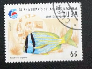 CUBA Sc# 3632 NATIONAL AQUARIUM FISH marine life  65c 1995  used cto