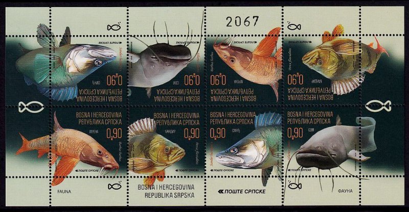 Bosnia & Herzegovina (Serb) Sc# 631 MNH Fish (M/S)