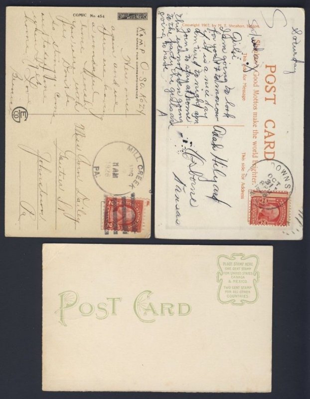 Bird - Owl - Check it out