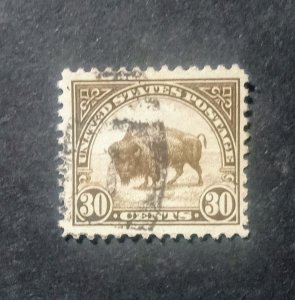 569 Bison