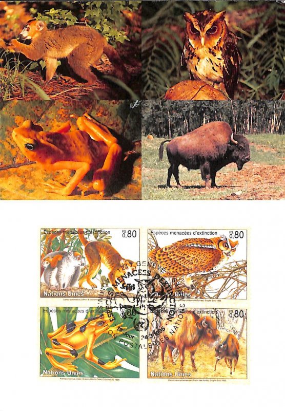 United Nations UN endangered species maximum card  no. 30