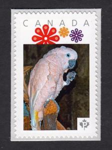 PARROT = MOLUCCAN COCKATOO =bird Picture Postage MNH Canada 2016 [p16/01-2bd4/1]