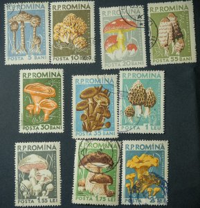 Romania #1225-1224 USED set mushrooms