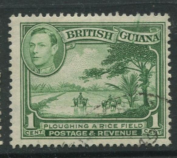 British Guiana - Scott 230 - KGVI- Definitive -1938 - FU - Single 1c Stamp