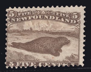 MOMEN: NEWFOUNDLAND SC #25 UNUSED $600 LOT #67049*