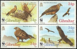 Gibraltar #716, Complete Set, Block of 4, 1996, Birds, World Wildlife Fund, N...