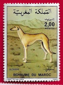 MOROCCO SCOTT#594 1984 2d SLOUGHI DOG BREED - MH