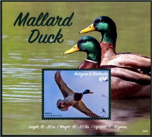 2020 Antigua Mallard Duck SS (Scott 3579) MNH