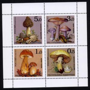 UDMURTIA RUSSIA LOCAL SHEET MUSHROOMS