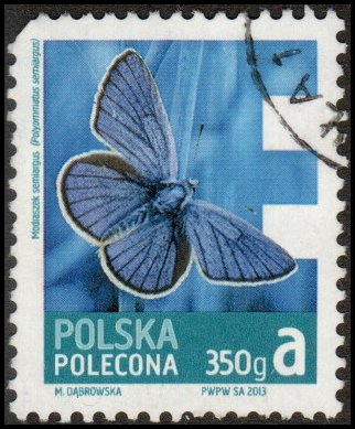 Poland F1 - Used - (3.80z) Mazarine Blue Butterfly (2013) (cv $2.40)