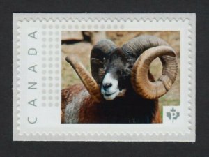 cp. MOUFLON = RAM = SHEEP = Picture Postage MNH stamps Canada 2015 [p15/11sn7]