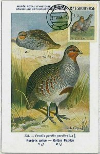 32923 - ALBANIA - Postal History - MAXIMUM CARD - BIRDS 1963 Partidge PERDIX-