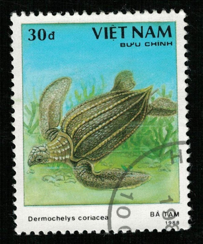 Turtle Vietnam 30d (TS-258)