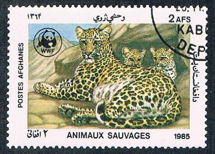 Afghanistan 1172 Used WWF Leopard (BP348)