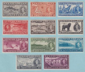 NEWFOUNDLAND 233 - 243  MINT LIGHTLY HINGED OG * NO FAULTS VERY FINE! - P795