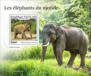 Togo 2022 MNH Wild Animals Stamps Elephants of the World Elephant 1v S/S II