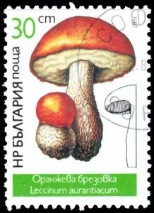 Bulgaria 3234 - Cto - 30s Red-capped Scaber Stalk Mushroom (1987)