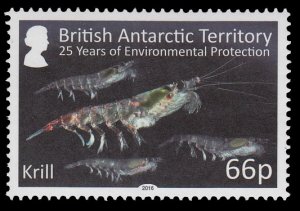 British Antarctic Territory 516 MNH