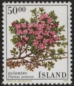 Iceland 664 (mnh) 50k flowers: thyme (Thymus praecox) (1988)