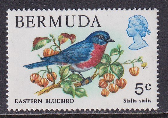 Bermuda (1978) #365 MNH