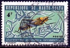 Insect, Grasshopper, Burkina Faso stamp SC#149 used