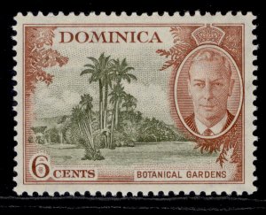 DOMINICA GVI SG126, 6s olive and chestnut, NH MINT.