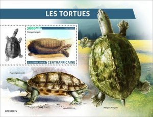 Central Africa - 2023 African Softshell Turtle - Stamp Souvenir Sheet -