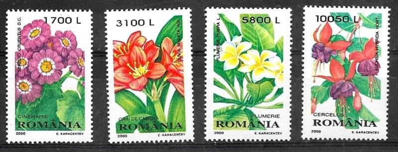 Stamp 1967, Romania Flowers 6v, 1967 - Collecting Stamps - PostBeeld -  Online Stamp Shop - Collecting